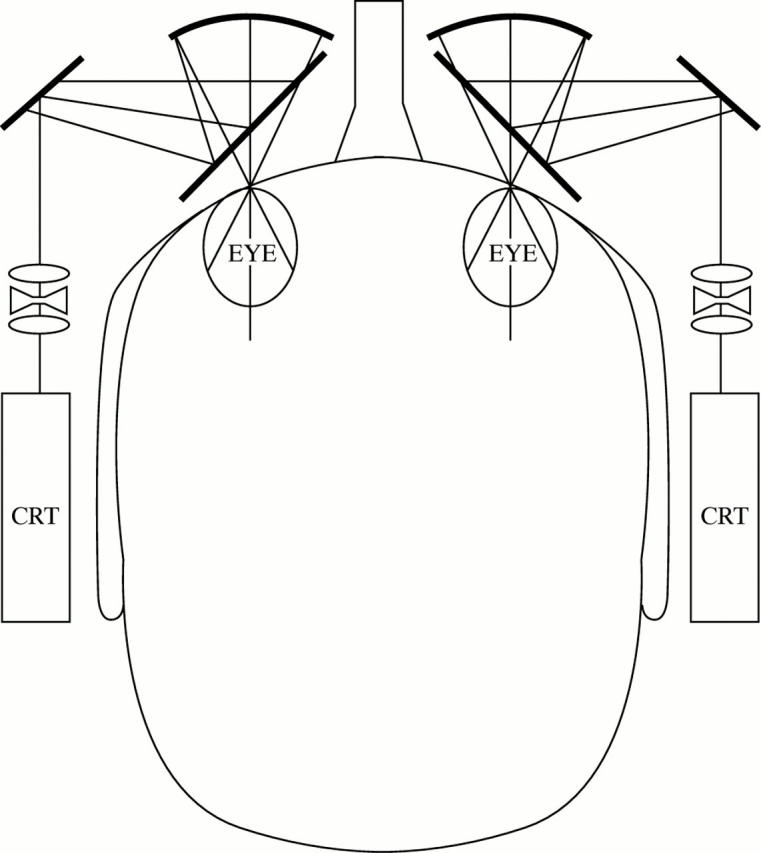 Figure 1  