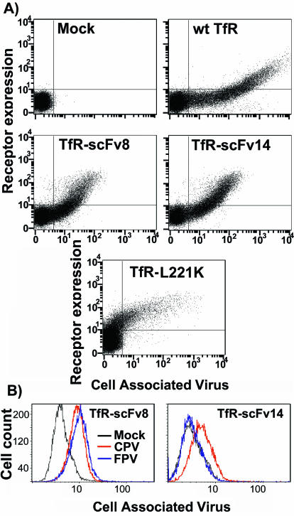 FIG. 8.