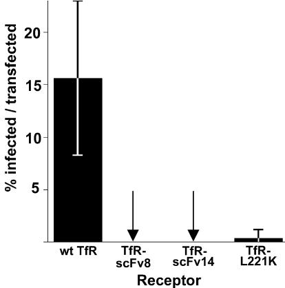 FIG. 9.