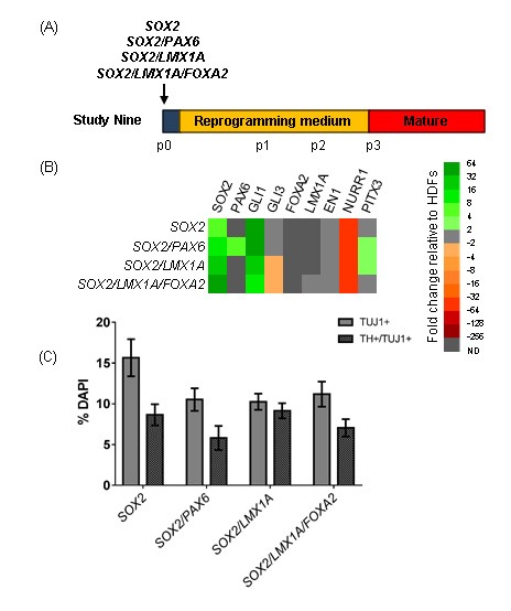 Figure 6: