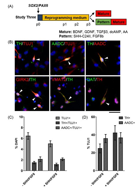 Figure 2: