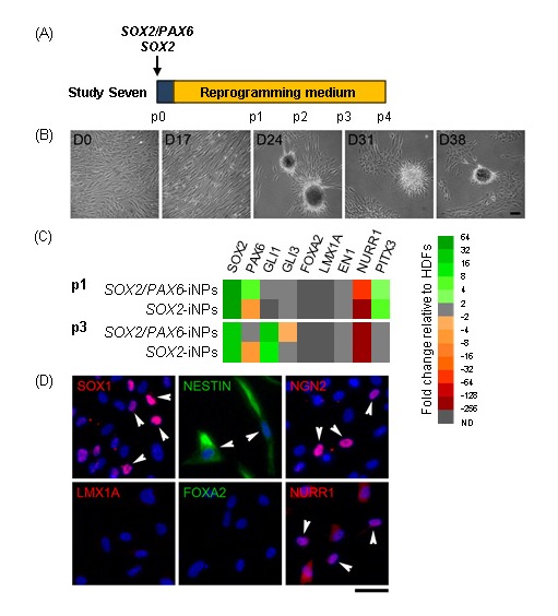 Figure 4: