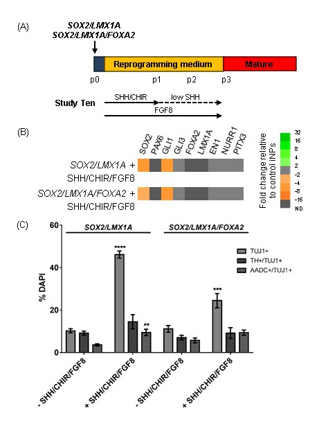 Figure 7: