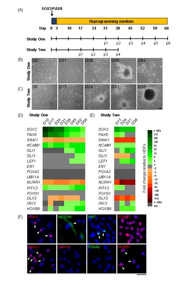 Figure 1: