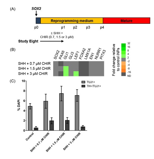 Figure 5: