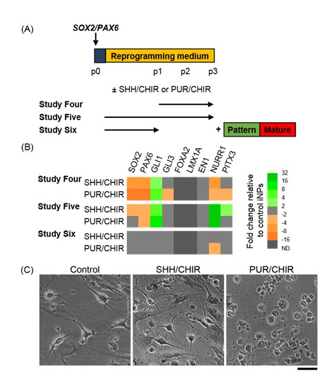 Figure 3: