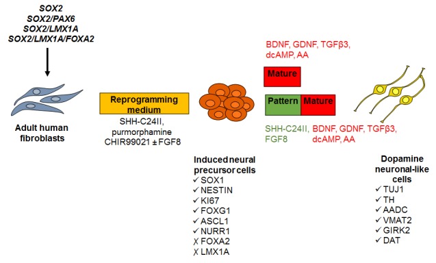 Figure 9: