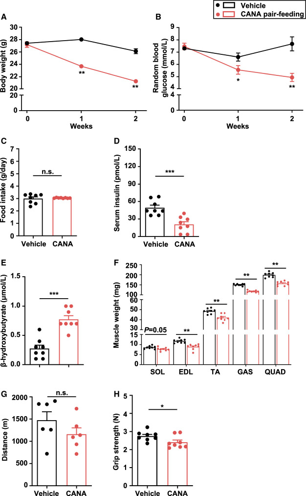 Figure 3.