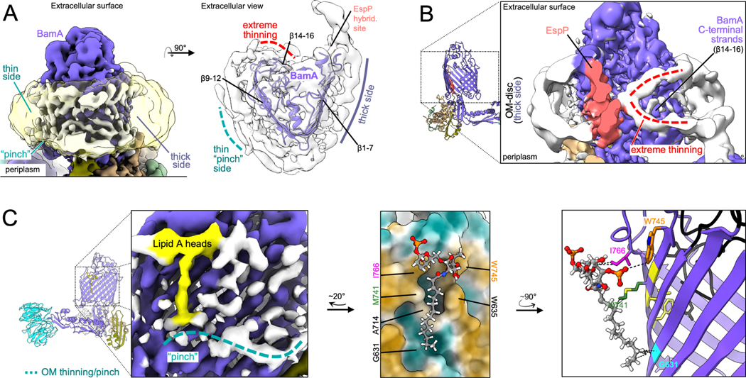 Figure 2: