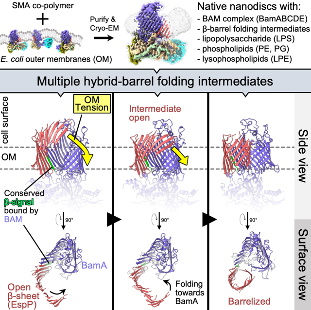 graphic file with name nihms-1787794-f0006.jpg