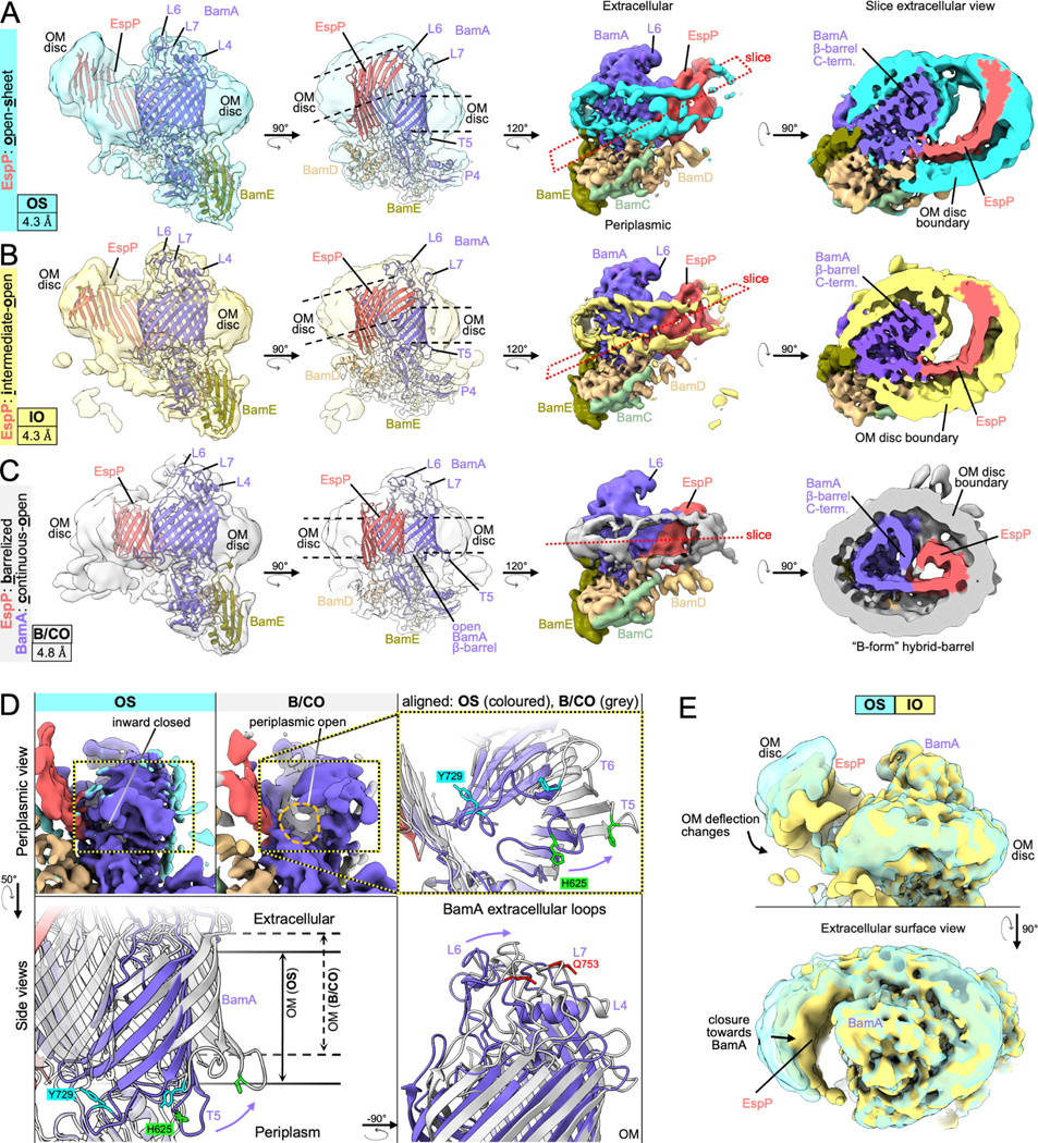 Figure 4: