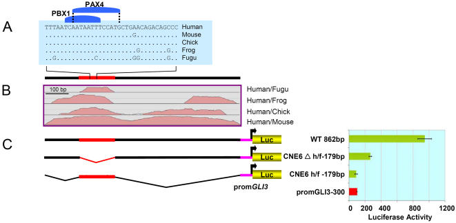 Figure 7