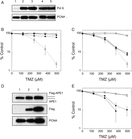 Fig. 2.