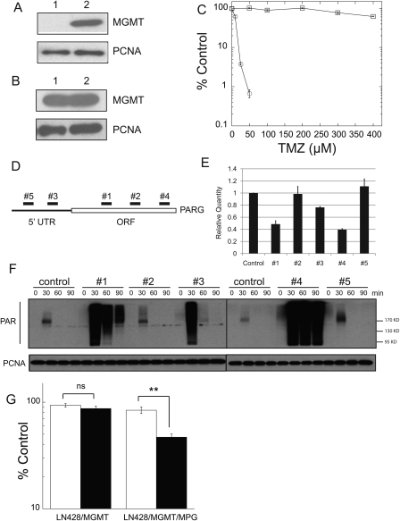 Fig. 3.