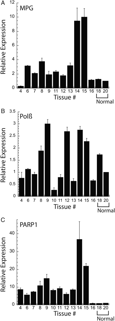 Fig. 6.