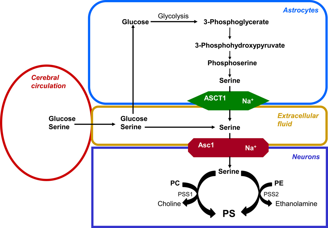 Fig. 3