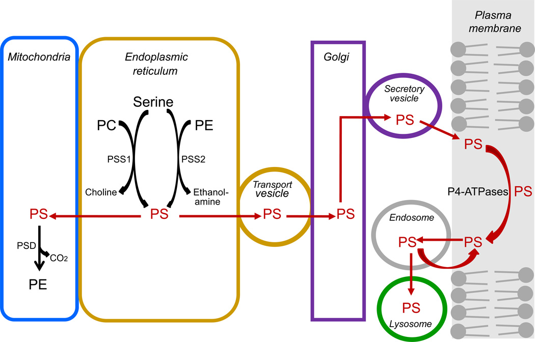 Fig. 4