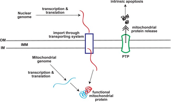 Fig. 1.