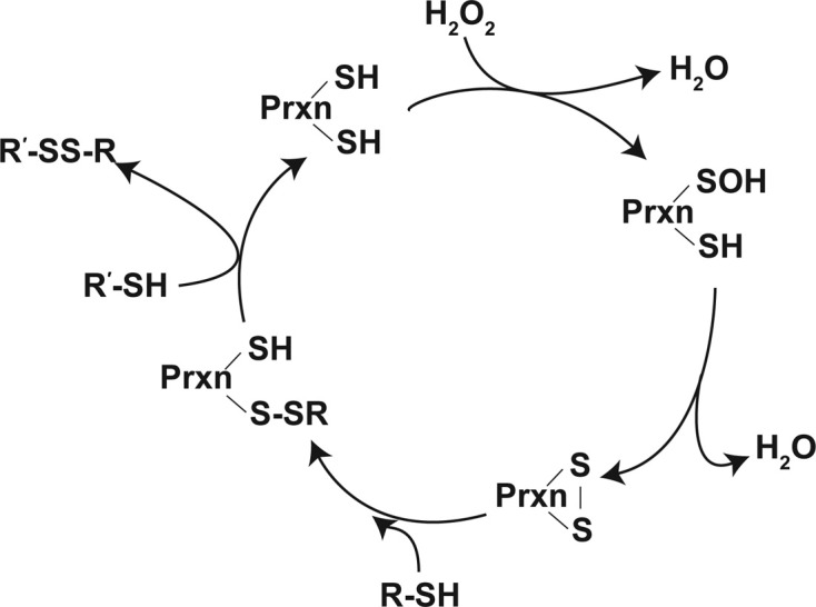 Fig. 5.