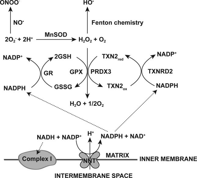 Fig. 3.