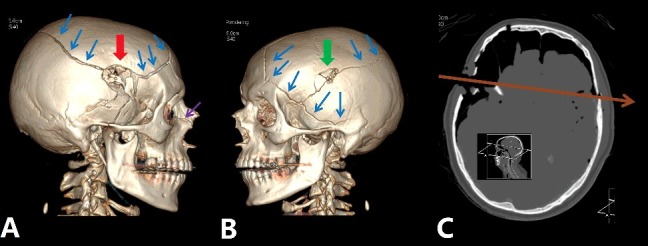 Figure 1.