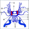 <sc>fig</sc> 5.