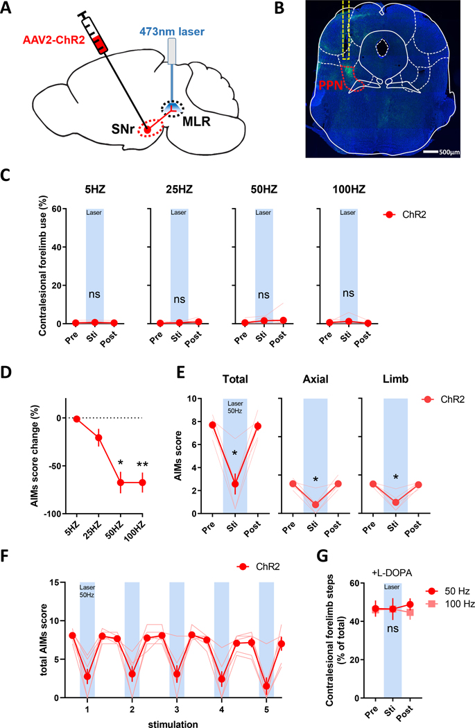 Figure 4.