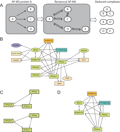 Fig. 1.