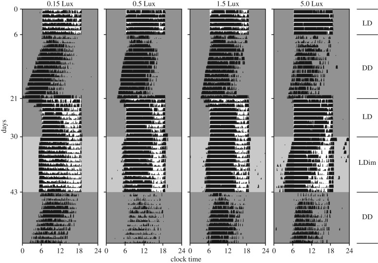 Figure 1.