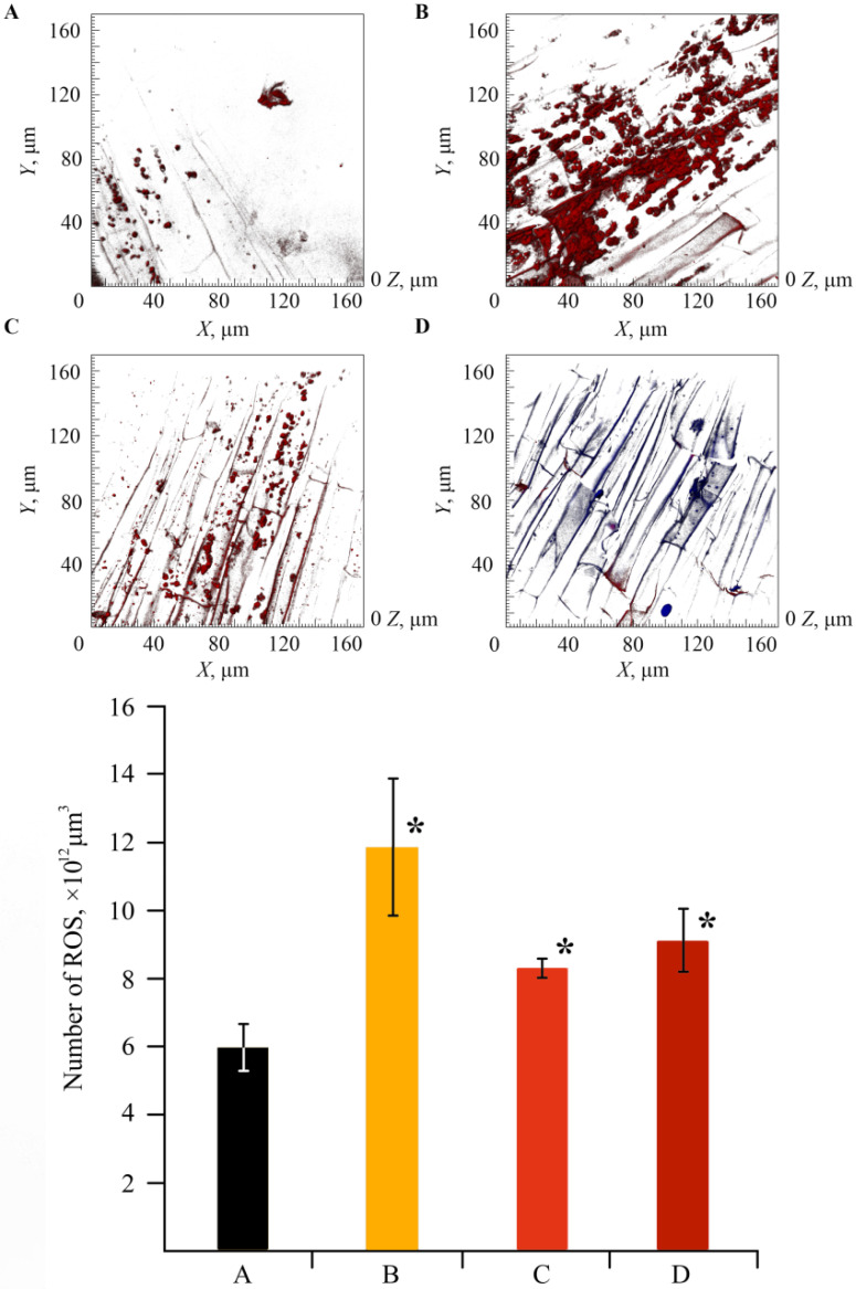 Figure 10