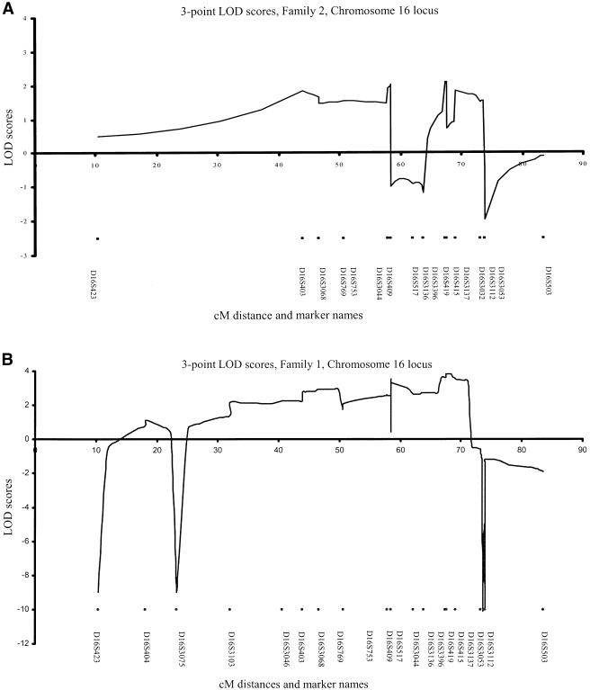 Figure  2