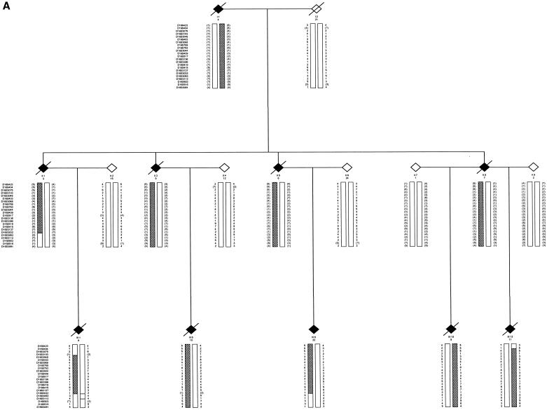 Figure  1