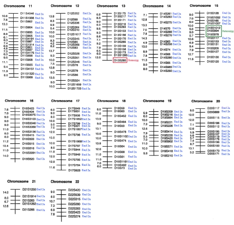 Figure  4