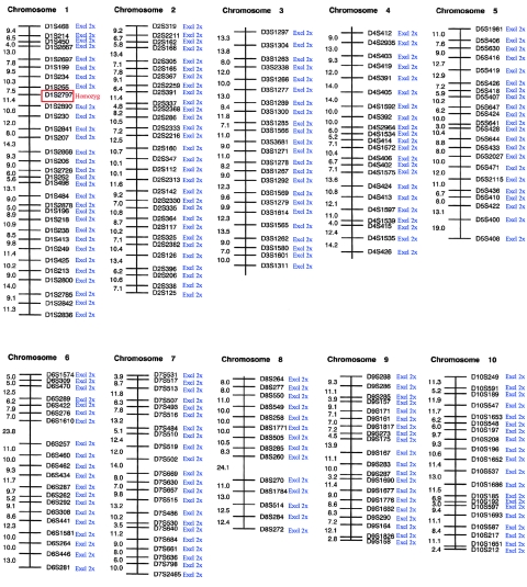 Figure  3