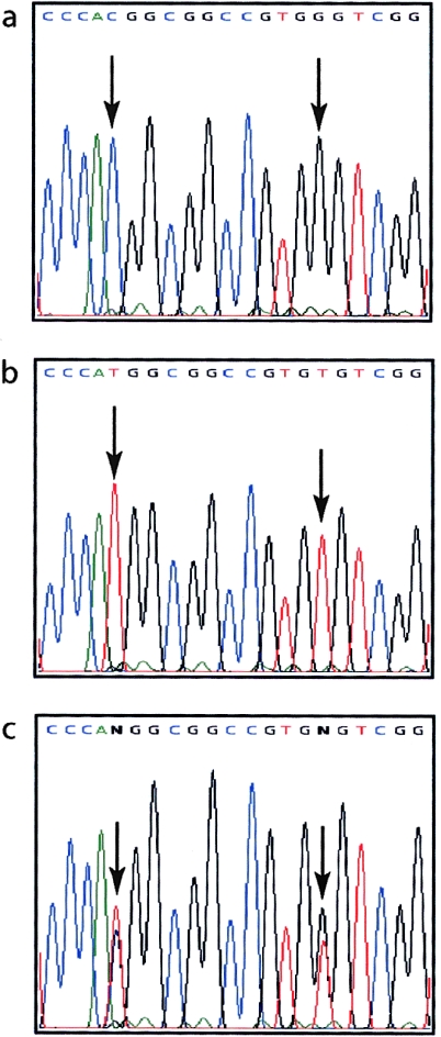 Figure  5