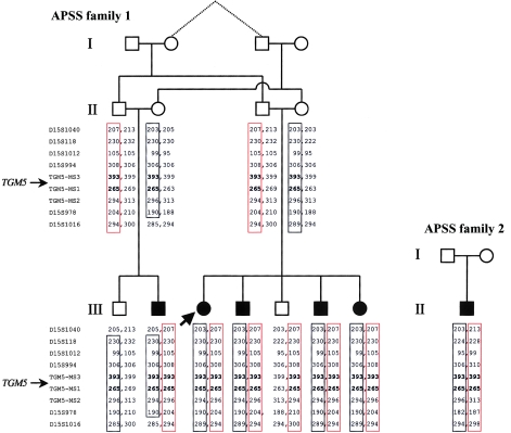 Figure  2