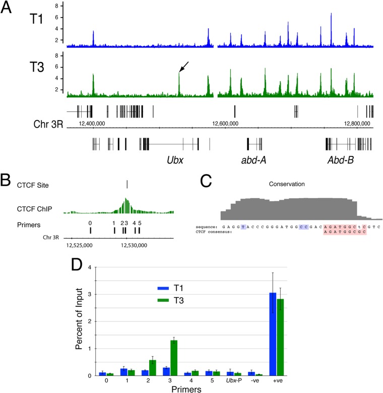 FIG 1