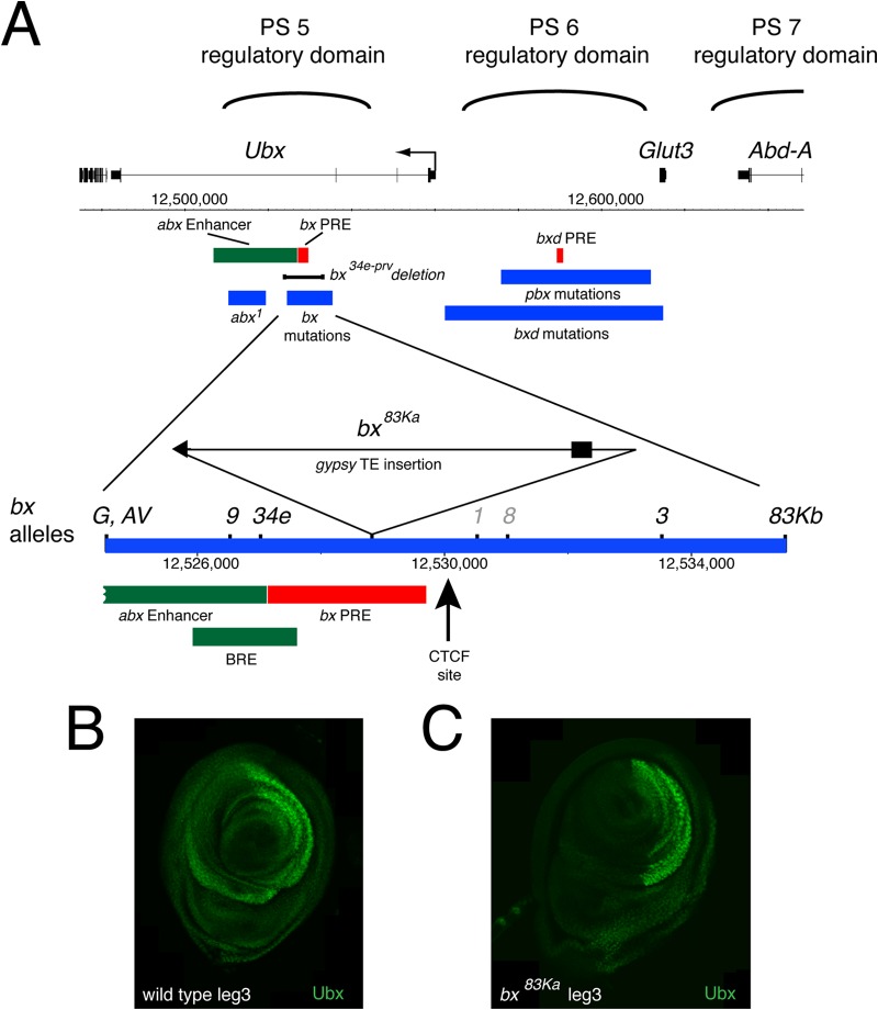 FIG 4