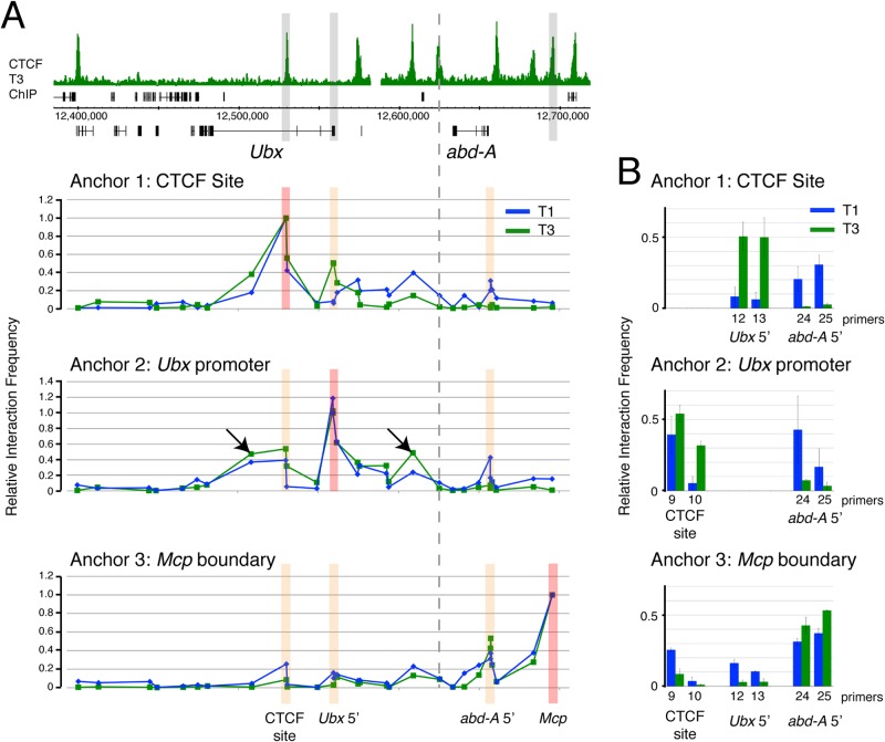 FIG 3