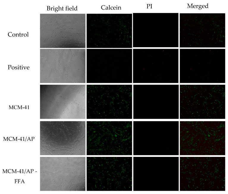 Figure 11