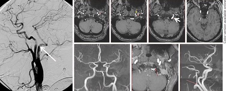 Fig. 8.