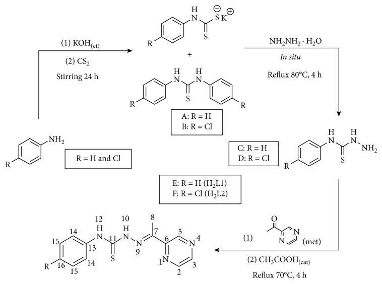 Scheme 1