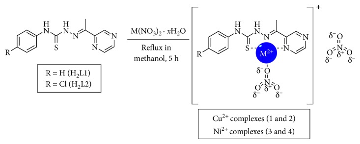 Scheme 2