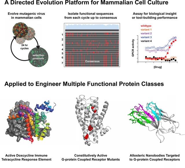 graphic file with name nihms-1530472-f0001.jpg