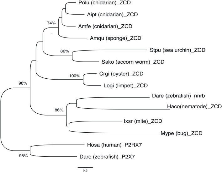 Figure 7