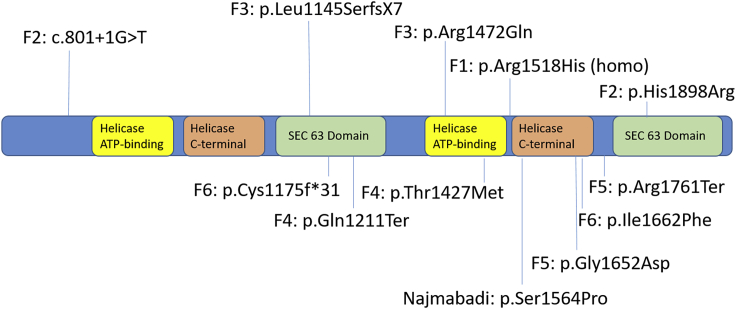 Figure 1