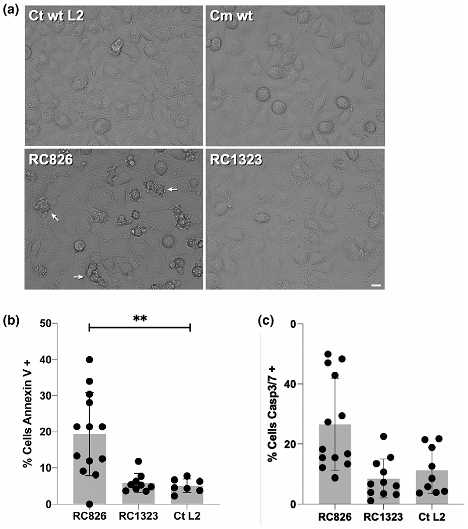 FIGURE 6