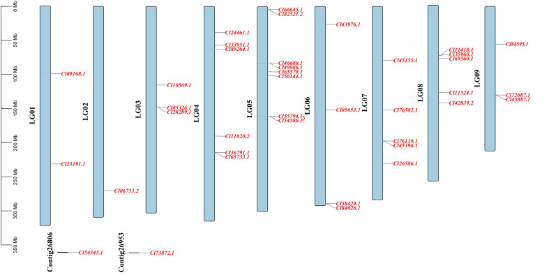 Figure 2