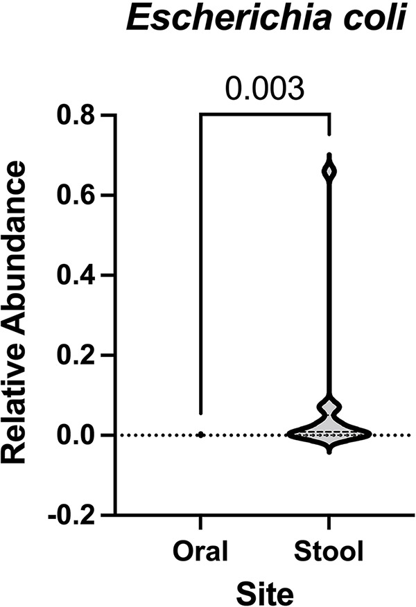 FIG 2