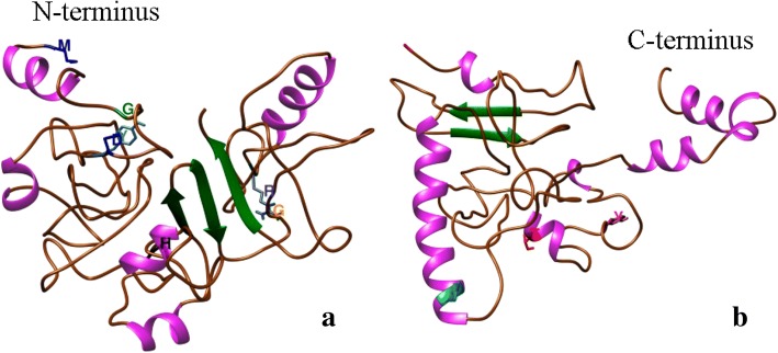 Fig. 8